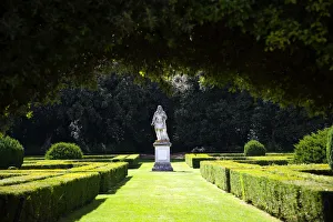 garden garden