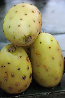 mexico, bajio, zacatecas, tunas or cactus fruit mexico, bajio, zacatecas, tunas or cactus fruit