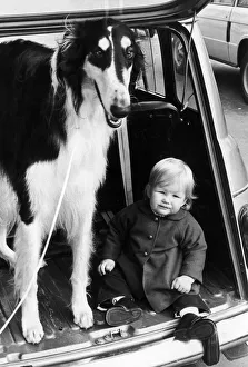 14 month old Rachel Duckworth looks in awe at the family pet which just grew and grew 14 month old Rachel Duckworth looks in awe at the family pet which just grew and grew