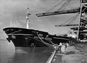 The 261 metre long Gautama Buddha the biggest ship in the Indian merchant fleet seen here The 261 metre long Gautama Buddha the biggest ship in the Indian merchant fleet seen here