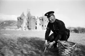 43-year-old Colour Sergeant Joseph Cuddihy of the Irish Guards picks 1 43-year-old Colour Sergeant Joseph Cuddihy of the Irish Guards picks 1