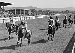 Abercata, ridden by Richard Fox races home to win the Zetland Gold Cup at Redcar Abercata, ridden by Richard Fox races home to win the Zetland Gold Cup at Redcar