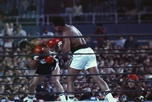 Images Dated 28th September 1976: Action during the heavyweight world title fight between Muhammad Ali