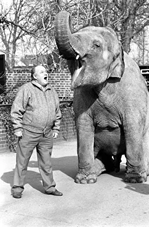 Actor: Roy Kinnear seen here with an elephant at London Zoo. February 1987 Actor: Roy Kinnear seen here with an elephant at London Zoo. February 1987