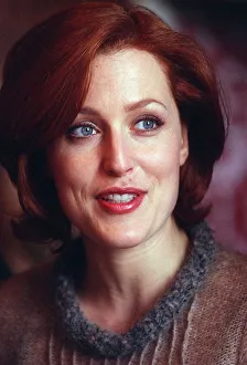 Mirror/0100to0199 00193/actress gillian anderson star television Mirror/0100to0199 00193/actress gillian anderson star television
