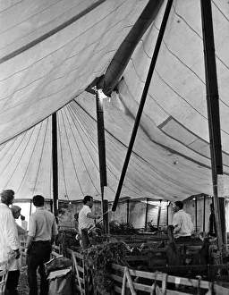 Agricultural Show Cleveland, 27th July 1985 Agricultural Show Cleveland, 27th July 1985