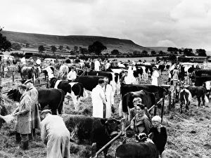Agricultural Show Danby, North Yorkshire, 17th August 1961 Agricultural Show Danby, North Yorkshire, 17th August 1961