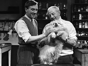 All Creatures Great and Small TV programme February 1980 All Creatures Great and Small TV programme February 1980