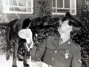 Ambrose a sniffer dog with the Arms and Explosives search unit in Londonderry Ambrose a sniffer dog with the Arms and Explosives search unit in Londonderry