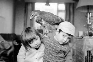 Animal/pet/unusual. Children with Buzzard. December 1970 71-00012-001 Animal/pet/unusual. Children with Buzzard. December 1970 71-00012-001