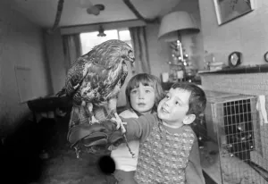 Animal/pet/unusual. Children with Buzzard. December 1970 71-00012 Animal/pet/unusual. Children with Buzzard. December 1970 71-00012