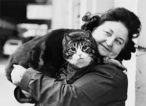 Animals - Cats Fat. Purr-fect partners...tiddles with doting owner June Watson Animals - Cats Fat. Purr-fect partners...tiddles with doting owner June Watson