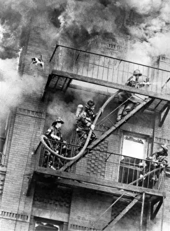 Animals Cats: Flying Start. Out of the inferno, the cat hurtles past firemen on its Animals Cats: Flying Start. Out of the inferno, the cat hurtles past firemen on its
