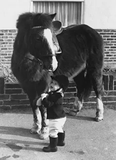 Animals - Children with Horses. January 1976 P000491 Animals - Children with Horses. January 1976 P000491