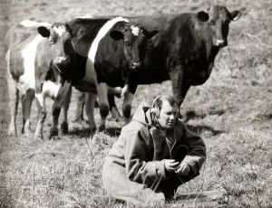 Animals - Cows - April 1971 Ray Goodwin with Head Phones making a recording in Animals - Cows - April 1971 Ray Goodwin with Head Phones making a recording in