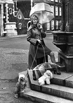 Animals Dogs Friendship: Model Gillian Duxbury, pictured with Charlie (Capilon-SwanKing Animals Dogs Friendship: Model Gillian Duxbury, pictured with Charlie (Capilon-SwanKing