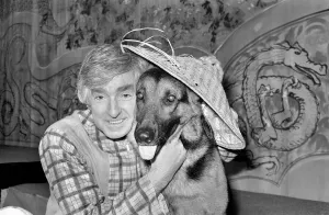 Animals. Dogs. Humour: Panto Pooch. 'Crosby': 'Crosby" Animals. Dogs. Humour: Panto Pooch. 'Crosby': 'Crosby"