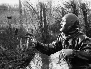 Animals: Frogs. Frogman Bill trying to catch jumping frogs in his back garden Animals: Frogs. Frogman Bill trying to catch jumping frogs in his back garden
