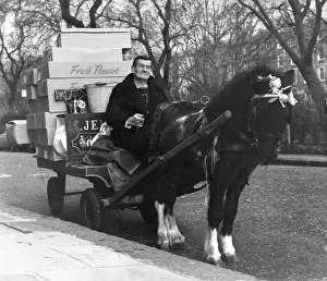 Animals: Horses: Flowers being delivered by horse and cart. December 1972 P004986 Animals: Horses: Flowers being delivered by horse and cart. December 1972 P004986
