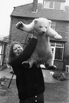 Animals - Polar Bear - Heave Ho! Lesley hoists up the polar bear cub but she won' Animals - Polar Bear - Heave Ho! Lesley hoists up the polar bear cub but she won'