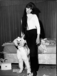 ANITA HARRIS AFTER HER FLAT WAS BURGLED - 1965 ANITA HARRIS AFTER HER FLAT WAS BURGLED - 1965