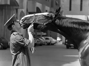 Images Dated 16th June 1984: Army: Horses: I ll miss you pal. Touch of Friendship