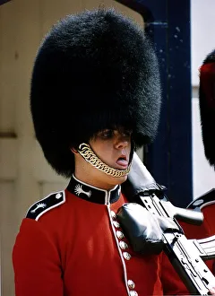 Army Regiments Welsh Guardsman sweltering from the heat while on duty outside Clarence Army Regiments Welsh Guardsman sweltering from the heat while on duty outside Clarence