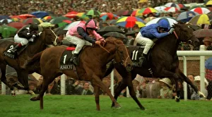 Asfurah (11) wins from Cortachy Castle at Royal Ascot - June 1997 Asfurah (11) wins from Cortachy Castle at Royal Ascot - June 1997