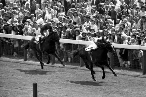 Benson & Hedges Gold Cup 1972 Roberto ridden by Braulio Baeza wins by three lengths Benson & Hedges Gold Cup 1972 Roberto ridden by Braulio Baeza wins by three lengths