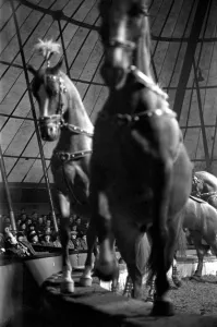 Bertram Mills Circus at Luton. April 1950 O23401-001 Bertram Mills Circus at Luton. April 1950 O23401-001