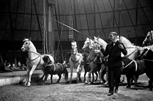 Bertram Mills Circus at Luton. April 1950 O23401-006 Bertram Mills Circus at Luton. April 1950 O23401-006