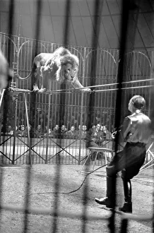 Bertram Mills Circus at Luton. April 1950 O23401-012 Bertram Mills Circus at Luton. April 1950 O23401-012