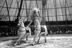 Bertram Mills Circus at Luton. April 1950 O23401 Bertram Mills Circus at Luton. April 1950 O23401