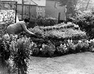 The Best-Kept Gardens contest for the Condercum Estate, Newcastle The Best-Kept Gardens contest for the Condercum Estate, Newcastle