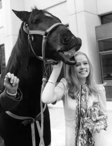 Black Beauty TV Programme with Stacy Dorning 1974 A©mirrorpix Black Beauty TV Programme with Stacy Dorning 1974 A©mirrorpix