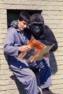 Blackpool Zoo keeper Mike Clarkson with gorilla Kumba reading a paper together Blackpool Zoo keeper Mike Clarkson with gorilla Kumba reading a paper together