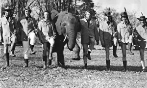 Blair Drummond Safari & Leisure Park Stirling Scotland 8th March 1979 Blair Drummond Safari & Leisure Park Stirling Scotland 8th March 1979