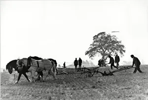 Brailsford and District ploughing and hedge cutting match. 15th October 1988 Brailsford and District ploughing and hedge cutting match. 15th October 1988