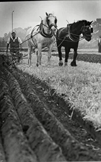 Brailsford Ploughing Match 15th September 1986 Brailsford Ploughing Match 15th September 1986