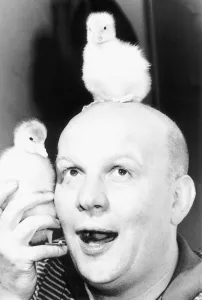 Brian Glover British actor with pet goslings, July 1984 Brian Glover British actor with pet goslings, July 1984