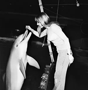 Images Dated 19th March 1975: BrightonIs Dolphinarium: Baby the youngest dolphin at BrightonIs Dolphinarium was