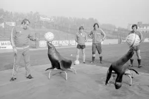 Bristol City football manager Allan Dicks with Scotts Amazing Sea Lions at a photocall at Bristol City football manager Allan Dicks with Scotts Amazing Sea Lions at a photocall at