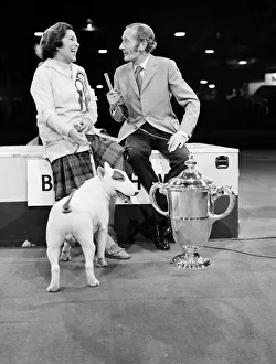 Britain's top dog is white bull terrier - Champion Abraxas Audacity Britain's top dog is white bull terrier - Champion Abraxas Audacity
