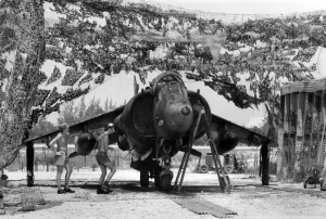 A British RAF Harrier jet is camouflaged and ready for action, near Belize City, Belize A British RAF Harrier jet is camouflaged and ready for action, near Belize City, Belize