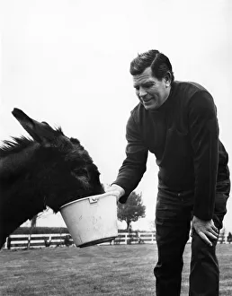 British wrestler Count Bartelli feeding his horse April 1971 P005666 British wrestler Count Bartelli feeding his horse April 1971 P005666