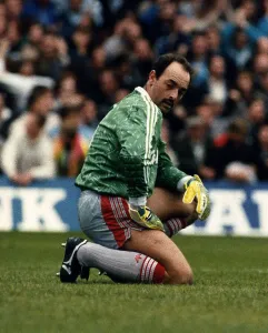 Bruce Grobbelaar Liverpool goalkeeper at the Southampton match 1989 Bruce Grobbelaar Liverpool goalkeeper at the Southampton match 1989