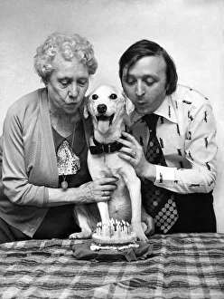 Bruno the dog celebrating his 22nd Birthday with his owner Ken and Ken's mother Bruno the dog celebrating his 22nd Birthday with his owner Ken and Ken's mother
