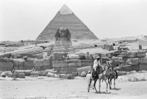 Images Dated 29th May 1976: A camel ride vendor seen here in the depression to the south of Khafre