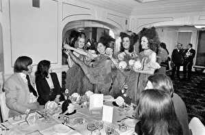 Can-Can Dancers: Table Decorations: Due to the Mild winter we are enjoying new Can-Can Dancers: Table Decorations: Due to the Mild winter we are enjoying new