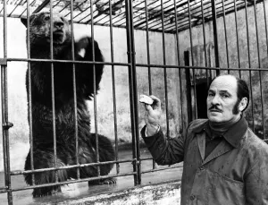 The Cardiff Zoo, Barry, which is owned by the Palmer brothers is up for sale The Cardiff Zoo, Barry, which is owned by the Palmer brothers is up for sale